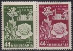 Болгария 1956 год. Ярмарка в Пловдиве. Розы. 2 гашёные марки