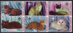 Сомали 2003 год. Породы кошек. 6 марок