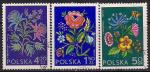Польша 1974 год. Цветы. 3 гашеные марки