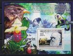 Гвинея 2009 год. 200 лет со дня рождения биолога Ч. Дарвина. Птицы, лемур, орхидеи. Блок