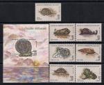 Мадагаскар 1993 год. Моллюски и каракатицы. 7 марок и блок