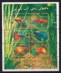 Иран 2004 год. Декоративные пресноводные рыбки. 1 блок