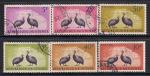Гвинея 1961 год. Цесарки. 6 гашеных марок