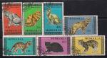 Монголия 1987 год. Кошки. 7 гашеных марок