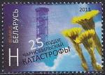 Беларусь 2011 год. 25 лет Чернобылььской катастрофе. 1 марка