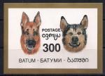 Батуми 1994 год. Собаки. 1 блок