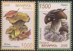 Беларусь 2008 год. Съедобные грибы - боровик и лисичка. 2 марки