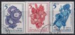 Болгария 1985 год. Садовые цветы. 3 гашёные марки