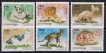 Камбоджа 1996 год. Кошки. 6 марок