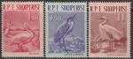 Албания 1961 год. Птицы. 3 марки 
