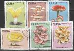 Куба 1989 год. Съедобные грибы. 6 гашёных марок 