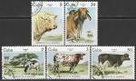 Куба 1984 год. Крупный рогатый скот. 5 гашёных марок 