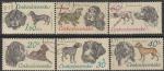ЧССР 1973 год. Охотничьи собаки, 6 гашёных марок 