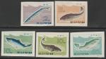 КНДР 1966 год. Рыбы Восточного моря, 5 беззубцовых марок 