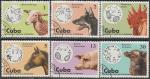 Куба 1975 год. Домашние животные и паразиты, 6 гашёных марок 
