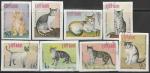 Вьетнам 1979 год. Кошки, 8 гашёных беззубцовых марок 