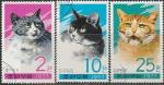 КНДР 1977 год. Кошки, 3 гашёные марки 