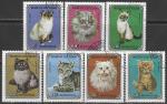 Монголия 1979 год. Кошки, 7 гашёных марок 