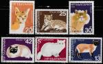 Болгария 1983 год. Кошки, 6 гашёных марок 