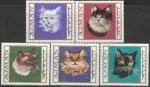 Аджман 1968 год. Кошки, 5 гашёных марок 