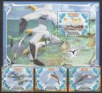 Габон 2019 год. Морские птицы, 3 марки + блок (гашёные)