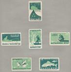 Набор спичечных этикеток. Правила рыболовства, 1961 год, 6 марок.