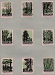 Набор спичечных этикеток. Берегите лес (I), 1960 год, 9 штук.