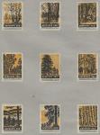 Набор спичечных этикеток. Берегите лес (II), 1960 год, 9 штук (жёлтые)
