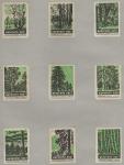 Набор спичечных этикеток. Берегите лес (II), 1960 год, 9 штук (зелёные)