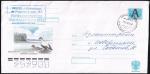 Конверт с литерой "А" - Кандалакшский государственный природный заповедник, 18.08.2004 год, прошёл почту