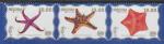 Абхазия 2006 год. Морские звёзды, серия 3 марки (003.769)70 м/л Абсны