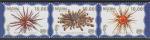Абхазия Апсны 2006 год. Морские ежи, сцепка из 3 марок (003.775)