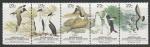 Австралийские Антарктические территории 1983 год. Фауна Антарктики, сцепка из 5 марок (001.55)