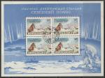 СССР 1958 год. Советская научная дрейфующая станция "Северный полюс", блок (гашёный)
