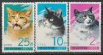 КНДР 1977 год. Домашние кошки, 3 марки.