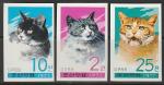 КНДР 1977 год. Домашние кошки, 3 б/зубц. марки.