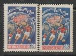 СССР 1958 год. VI первенство по футболу в Швеции, ном. 60 коп. Разновидность - разный цвет, 2 марки.