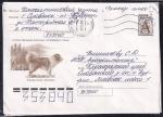 ХМК Кавказская овчарка, 1999 год, прошёл почту