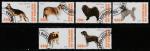 Бурунди 2009 год. Собаки, 6 марок (гашёные)