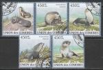 Коморы 2009 год. Морские львы, 5 марок (гашёные)