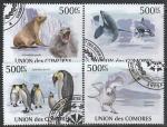 Коморы 2009 год. Животный мир Антарктики, 4 марки (гашёные)