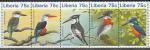 Либерия 1996 год. Птицы, сцепка из 5 марок.