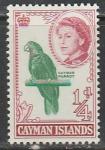 Каймановы острова 1962 год. Стандарт. Королева Елизавета II и попугай, 1 марка из серии.