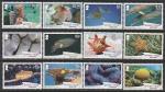 Британские Виргинские острова 2017 год. Морская фауна, 12 марок (072.1262)