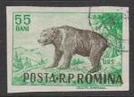 Румыния 1956 год. Охотничьи животные. Медведь, 1 б/зубц. марка из серии (гашёная)
