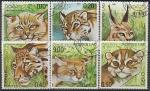 Лаос 1981 год. Хищные кошки, 6 марок (гашёные)