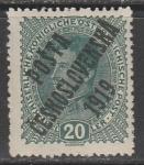 Чехословакия 1919 год. Император Карл I, ном. 20 Н, надпечатка на марке Австрии, 1 марка из серии 