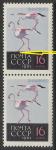 СССР 1962 год. Птицы: фламинго. Разновидность - нога не заходит на плашку, пара марок 