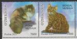 Узбекистан 2021 год. Кошки, пара марок (II) (н