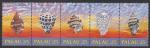 Палау 1989 год. Морские раковины, сцепка из 5 марок 